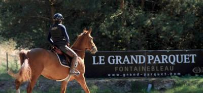 5 chevaux des écuries de Plabenn qualifiés pour la Grande Semaine de Fontainebleau 2020 avec le cavalier Gwenole Le Guen